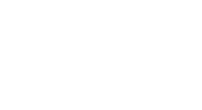 STS Co., Ltd. Results Speak. 結果が、すべてを語る。